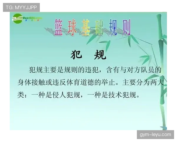 技术犯规：篮球规则中判罚依据与后果解析